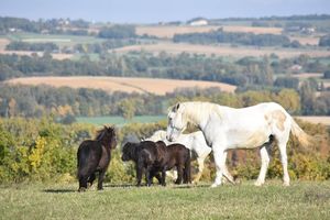  at Haven Lands Travels in Amirim