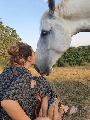  at Haven Lands Travels in Amirim