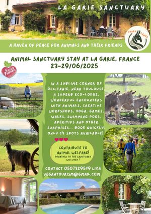 The best place for vegans and animal lovers ! at Haven Lands Travels in Amirim