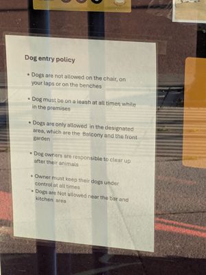 Dog policy at Bella Vita in Dover