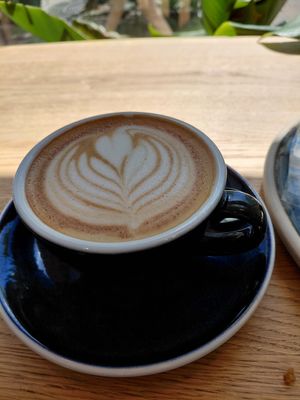 All the vegan options were labeled well and offers at least oat milk with coffees. Apricot carrot cake was really good as well as the filled bread. The coffee was delicious too. at Ohana Coffee Kálvin  in Budapest