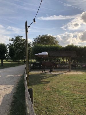   at De Tuin Van De Smid in Leiden