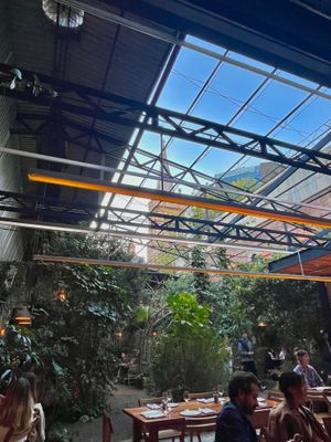 A view of the greenery inside the restaurant. They set out candles once it got dark and the lighting inside was very nice. at CHUI in Mexico City