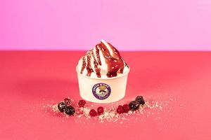 Berry Vanilla Ice Cream: Vanilla Ice Cream with mixed berry topping and desiccated Coconut at Green M'ama  in Rome