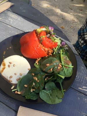 Stuffed capsicum with cashew cream  at The Clarendon Arms  in Evandale