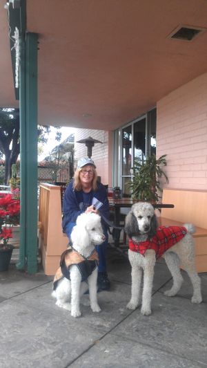 Vegan Cuisine is dog-friendly at Vegan Cuisine in Fountain Valley