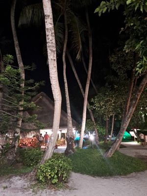  at Palm Grove Restaurant in Fihalhohi