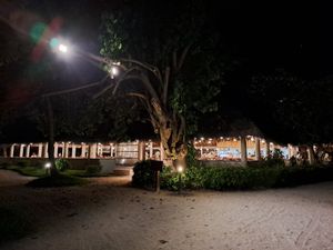  at Palm Grove Restaurant in Fihalhohi