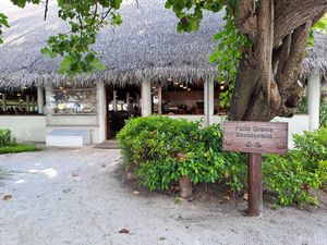  at Palm Grove Restaurant in Fihalhohi