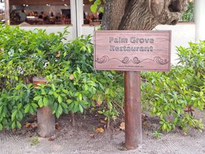  at Palm Grove Restaurant in Fihalhohi