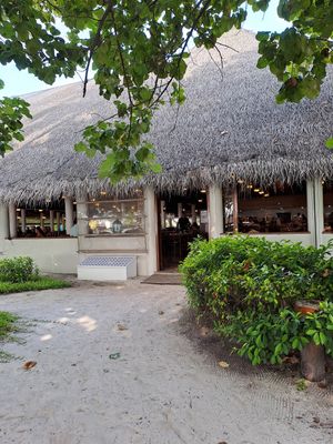  at Palm Grove Restaurant in Fihalhohi