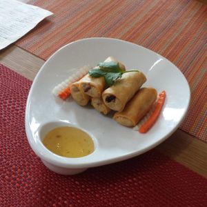 Delicious Veggie Rolls at Drink Art in Atlanta