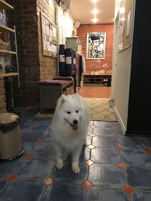 Special guest :) at Nym Kitchen in Moscow