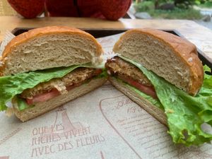  at Shanyuan Bencao Shiliao Teahouse in Dali