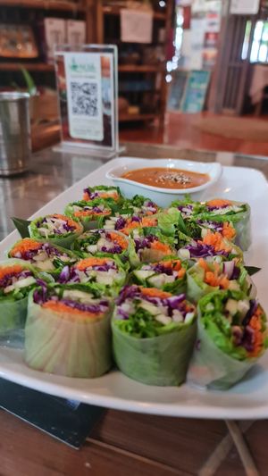 Fresh vegetable rolls  #Veganuary at Art Cafe in Koh Phangan