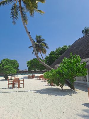  at Blue Lagoon Bar in Fihalhohi