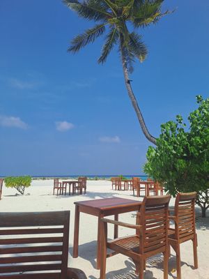  at Blue Lagoon Bar in Fihalhohi