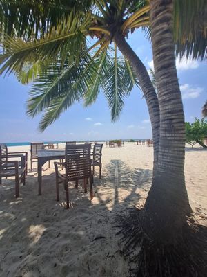  at Blue Lagoon Bar in Fihalhohi