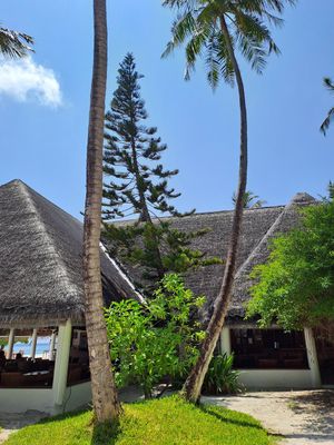  at Blue Lagoon Bar in Fihalhohi