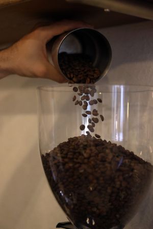  at Mauvaise Herbe in Marseille