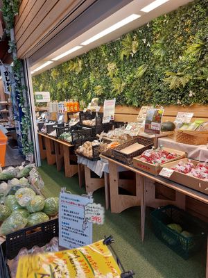  at Organic Plaza - Demachi in Kyoto