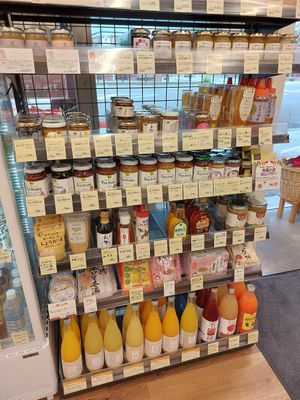  at Organic Plaza - Demachi in Kyoto