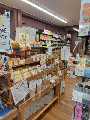  at Organic Plaza - Demachi in Kyoto