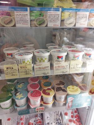  at Organic Plaza - Demachi in Kyoto