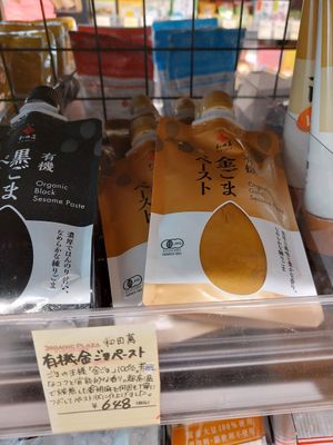  at Organic Plaza - Demachi in Kyoto