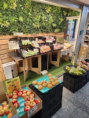  at Organic Plaza - Demachi in Kyoto