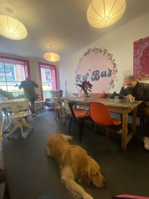   at Kaf' Bar in Copenhagen