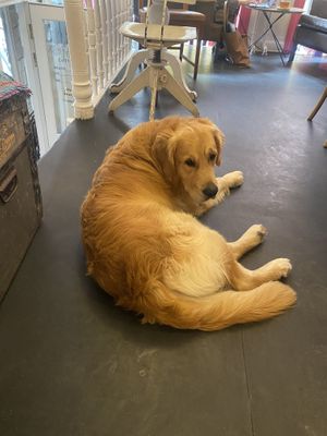   at Kaf' Bar in Copenhagen