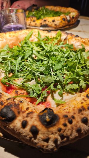  at 60 seconds to Napoli in Dresden