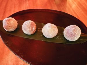 Mochis  at Iroko in Mallorca