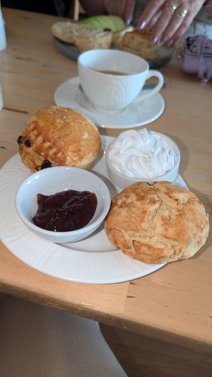  at Burridge's in Torquay