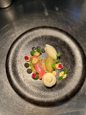  at Down to Earth   in Velp