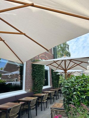  at Down to Earth   in Velp