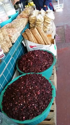 at the market at Mercado Miguel Hidalgo in Tijuana
