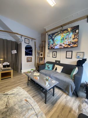 Manx Cat Cafe  at Manx Cat Café in Douglas