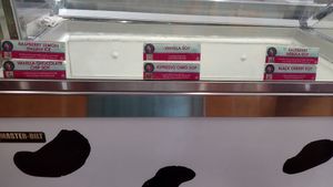 Separate freezer for vegan options at Babes Ice Cream in Milwaukee