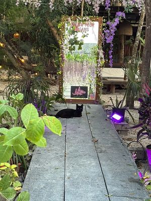 They also have amazing house music on   at Mistico Garden - La Veleta in Tulum