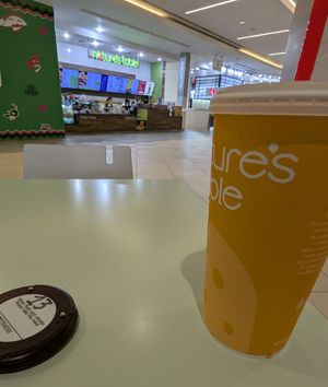 Ice Tea, Short Wait at Nature's Table - Florida Mall in Orlando