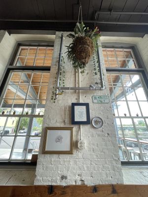 Cute wall  at Pingala Cafe in Burlington