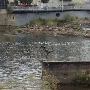 yoga statue  at Pingala Cafe in Burlington