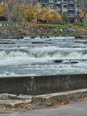  at Pingala Cafe in Burlington