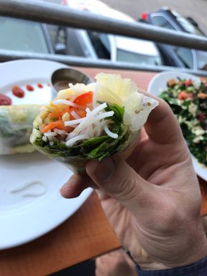 Delicious fresh roll (raw food) at Pingala Cafe in Burlington