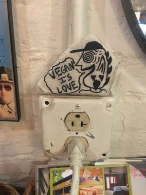 Truth at Pingala Cafe in Burlington