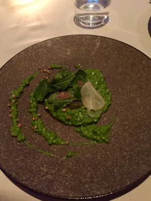 Buckwheat watercress risotto  at Urbane Restaurant in Brisbane