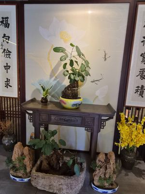  at Miao Chu Tian Xiang Vegetarian - 妙厨天香素食 in Kunming