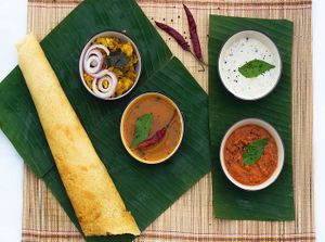  at The Sitting Elephant in Rishikesh